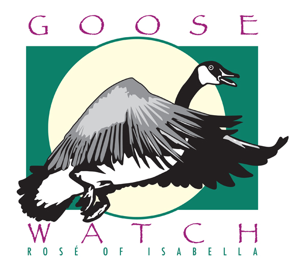 goose2.jpg